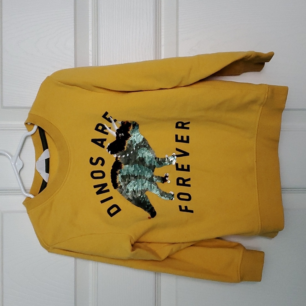 Dino sequin color change sweatshirt